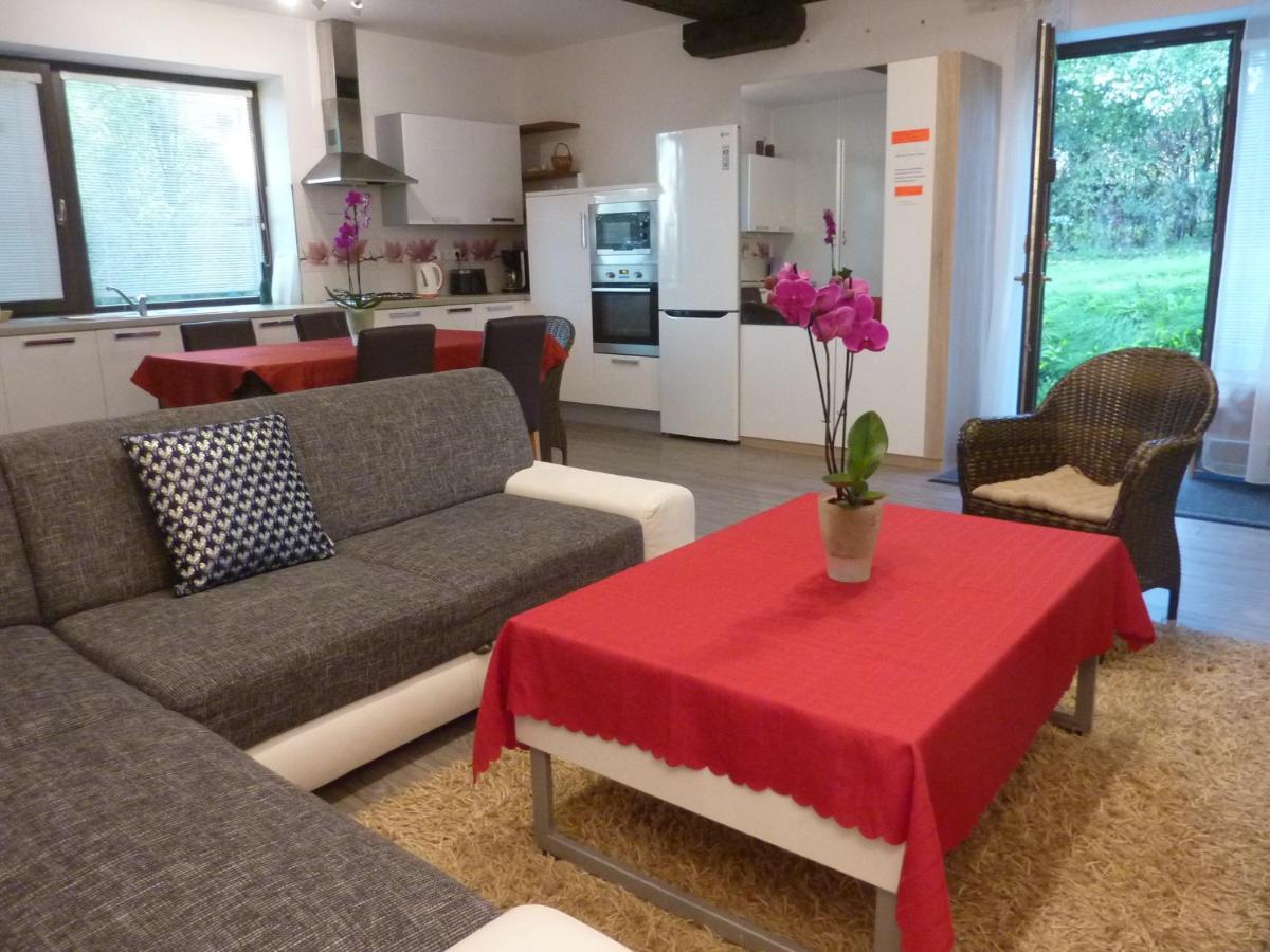 Velky Apartman V Rodinnom Dvojdome, Free Parking Caşonia Exterior foto